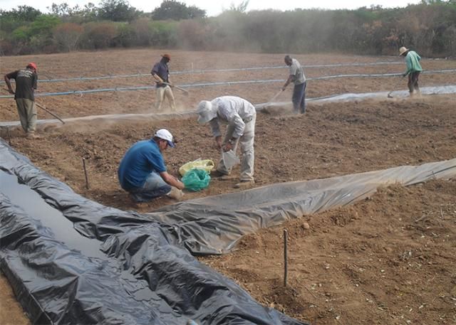 LANÇAMENTO DO CAF 3.0: Avanços e inclusão para a agricultura familiar no Brasil